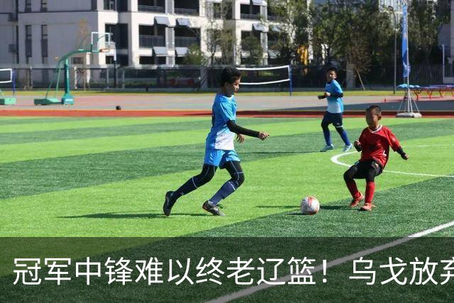 冠军中锋难以终老辽篮！乌戈放弃优先续约权，他恐成下一个弗格