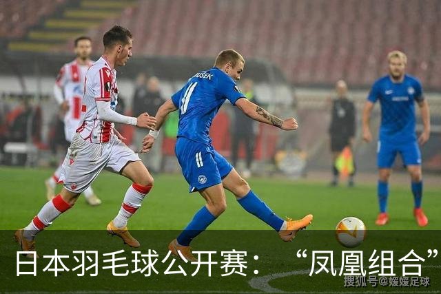 日本羽毛球公开赛：“凤凰组合”进决赛 陈雨菲伤退