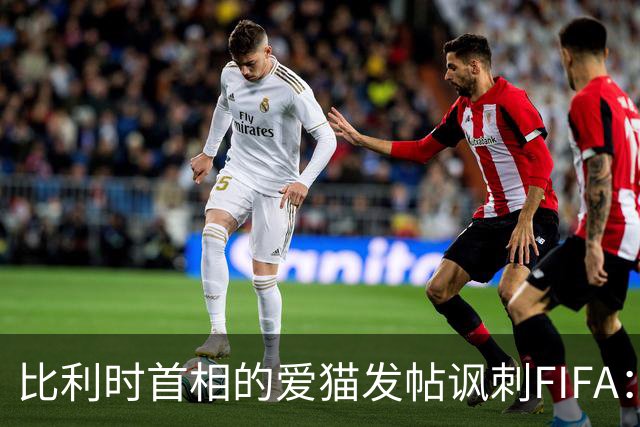 比利时首相的爱猫发帖讽刺FIFA：“红牌？”我照样继续踢！