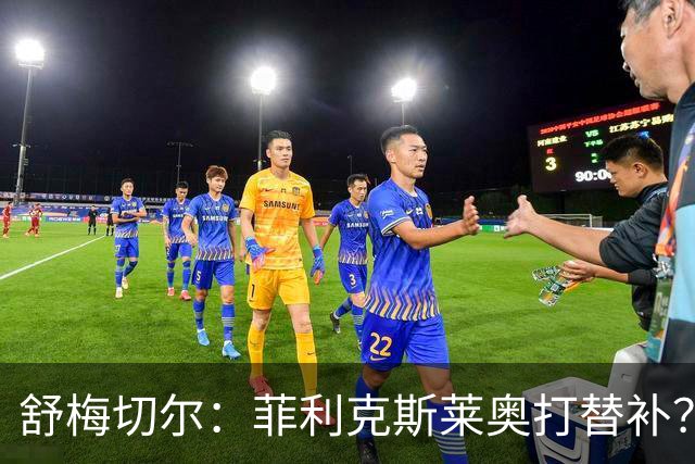 舒梅切尔：菲利克斯莱奥打替补？马丁内斯毁了比利时又来毁葡萄牙