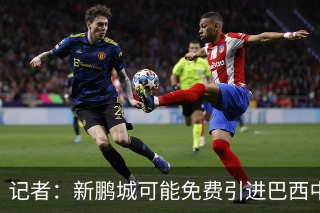 记者：新鹏城可能免费引进巴西中卫泽维尔，本科维奇会被放弃