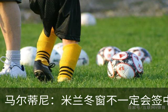 马尔蒂尼：米兰冬窗不一定会签中卫 看情况再说