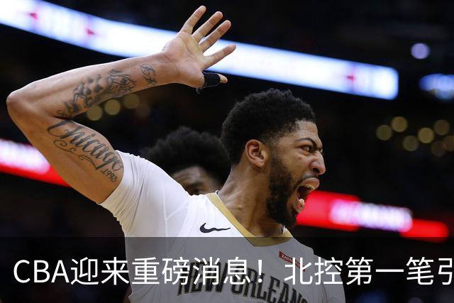 CBA迎来重磅消息！北控第一笔引援诞生，球迷：杨鸣赵继伟有望？